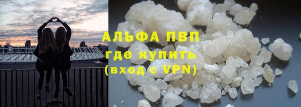гашик Алзамай