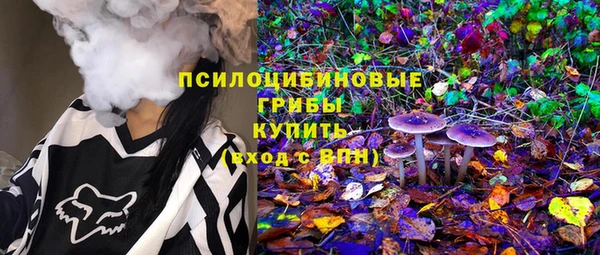 дурь Алексин