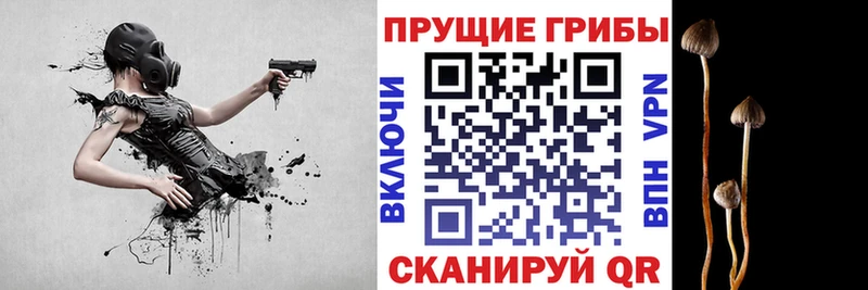 Галлюциногенные грибы ЛСД  Шилка 