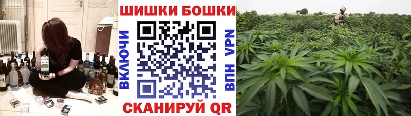Бошки марихуана сатива Шилка